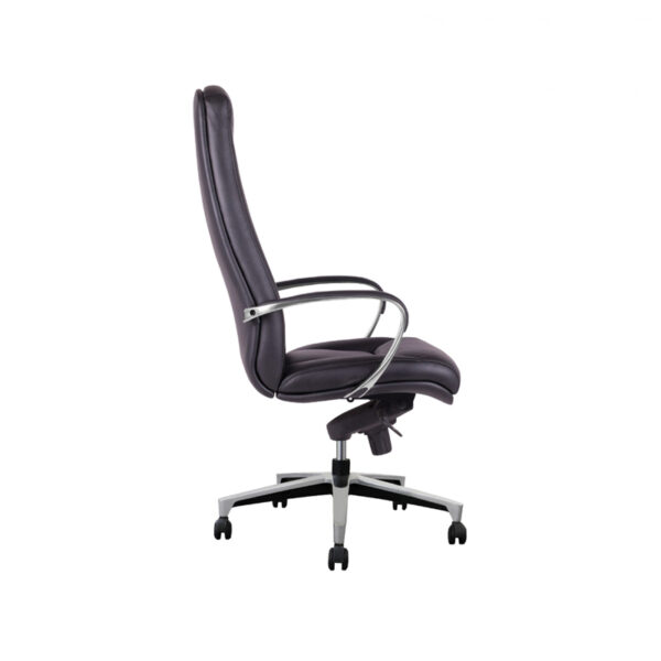 صندلی اداری مدیریتی طبی دکوچین مدل کامو - Image 3