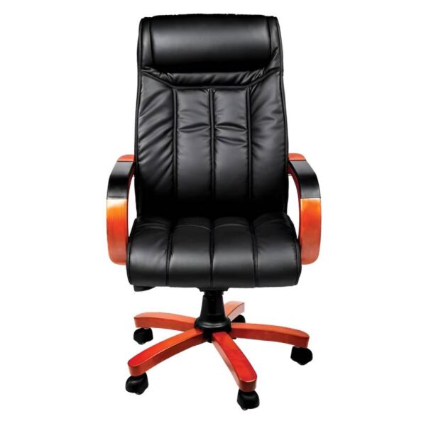 صندلی مدیریتی طبی مدل T 35-80-3