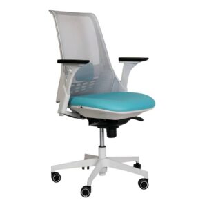 صندلی کارشناسی حرفه ای مدل X81gs